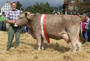 140922Schwyz 087